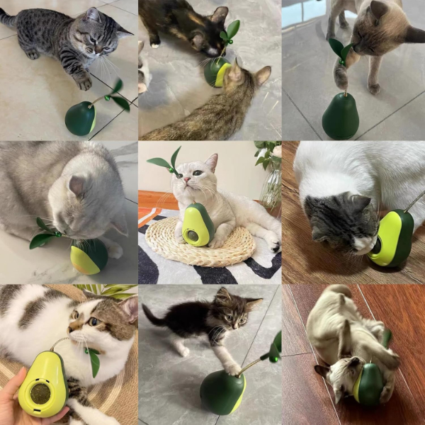 Avokado Şeklinde Kedi Naneli ve Mama Hazneli Kedi Oyuncağı 