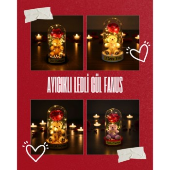 Ayıcıklı Ledli Gül Fanus Ayıcıklı Ledli Gül Fanus