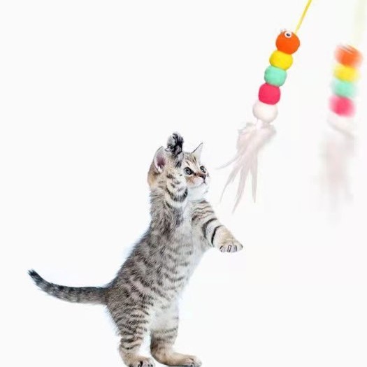 Elastik Yapışkanlı Kedi Oyun Oltası