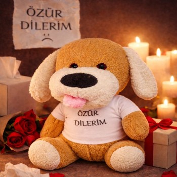 Özür Dilerim Tişörtlü Peluş Oyuncak Köpek Özür Dilerim Tişörtlü Peluş Oyuncak Köpek