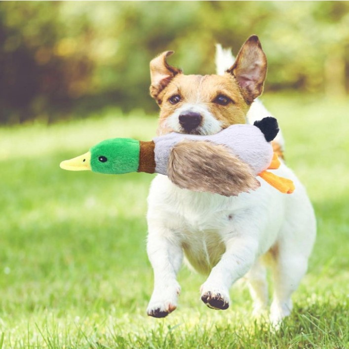 Sesli Ördek Şekilli Peluş Köpek Oyuncağı Sesli Ördek Şekilli Peluş Köpek Oyuncağı
