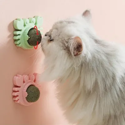 Yengeç Kedi Otu Oyun Topu Yengeç Kedi Otu Oyun Topu