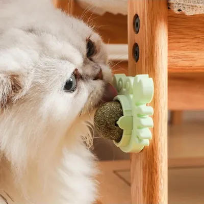 Yengeç Kedi Otu Oyun Topu Yengeç Kedi Otu Oyun Topu
