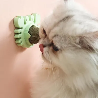 Yengeç Kedi Otu Oyun Topu Yengeç Kedi Otu Oyun Topu